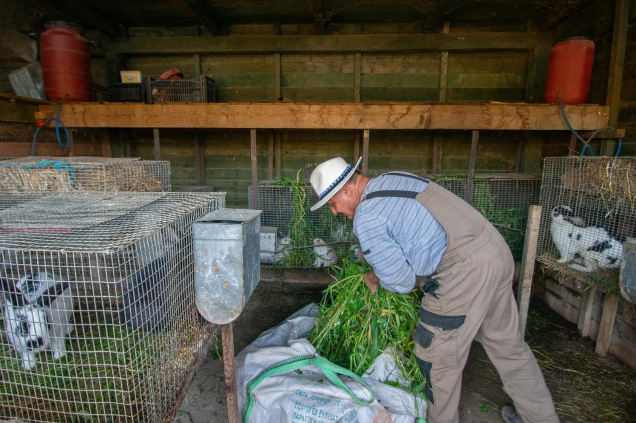 Loukas Farm House Áyios Kírikos Zewnętrze zdjęcie