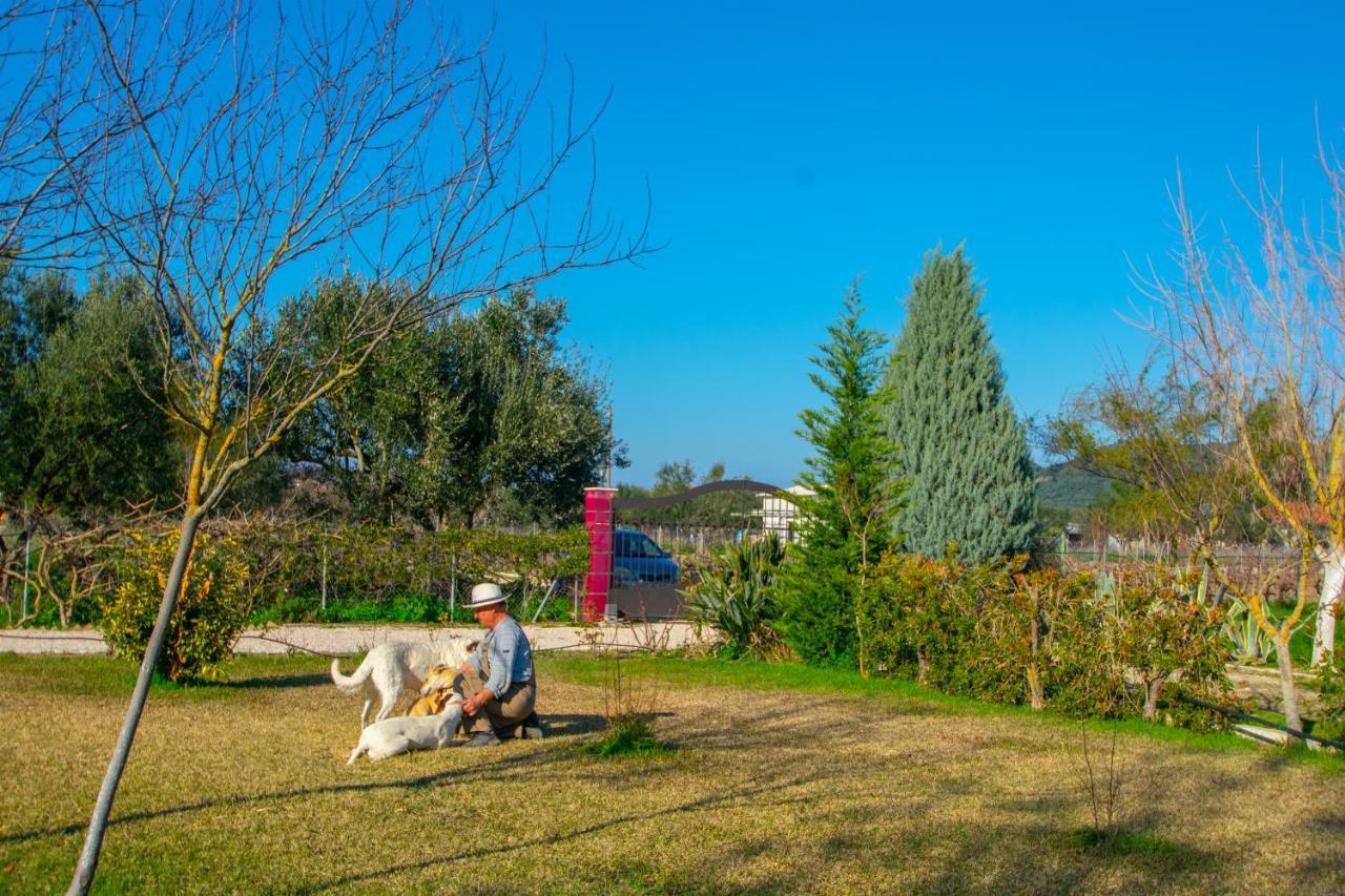Loukas Farm House Áyios Kírikos Zewnętrze zdjęcie