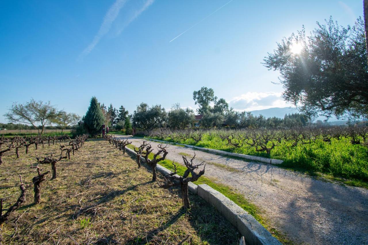 Loukas Farm House Áyios Kírikos Zewnętrze zdjęcie