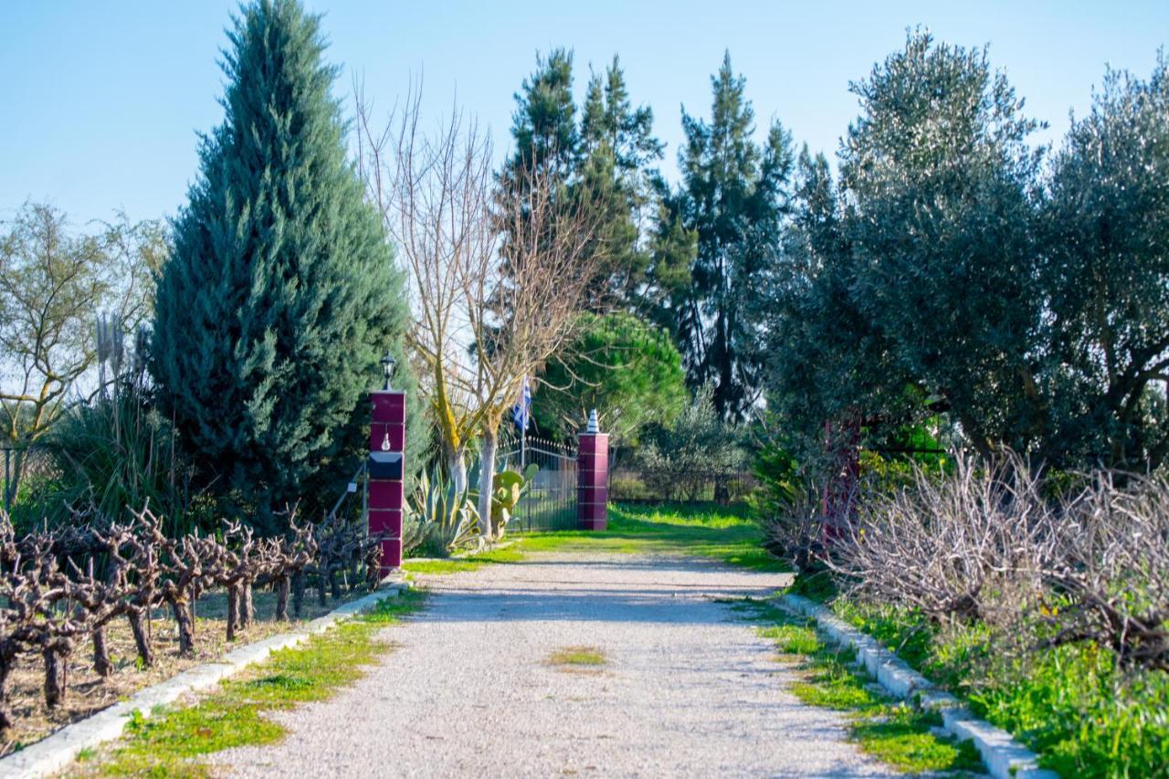 Loukas Farm House Áyios Kírikos Zewnętrze zdjęcie