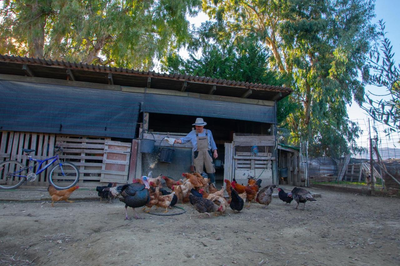 Loukas Farm House Áyios Kírikos Zewnętrze zdjęcie