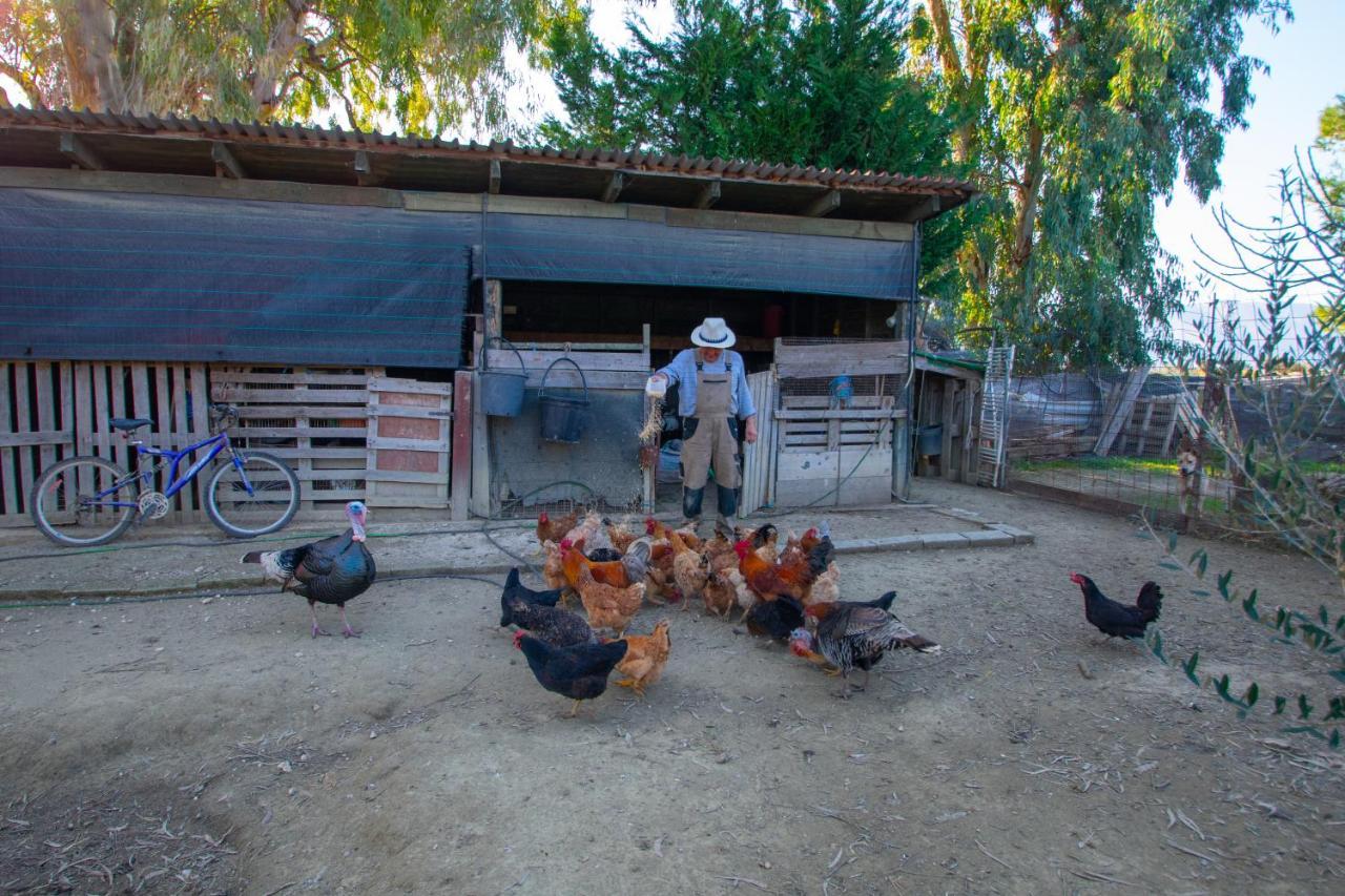 Loukas Farm House Áyios Kírikos Zewnętrze zdjęcie