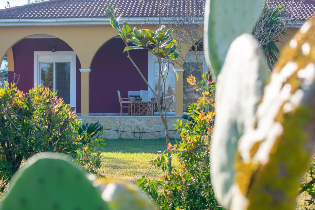 Loukas Farm House Áyios Kírikos Zewnętrze zdjęcie